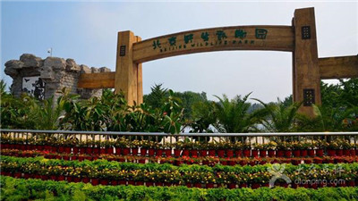 端午節(jié)，廠家?guī)粯拥亩宋绮灰粯拥倪^！